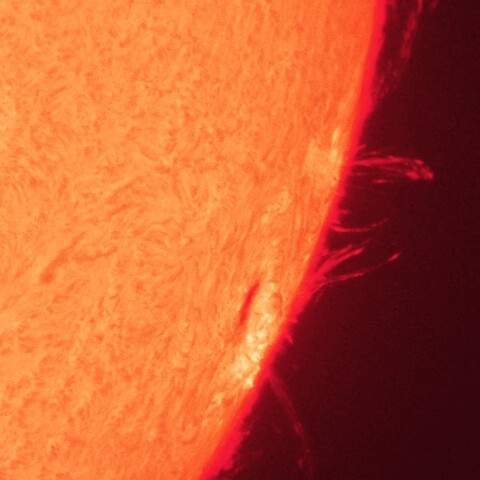 4/14昼の太陽(4055とプロミネンス)