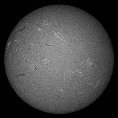 4/25昼の太陽(Hα中心付近)