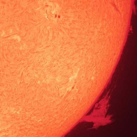 4/25昼の太陽(Hα・4062とプロミネンス)