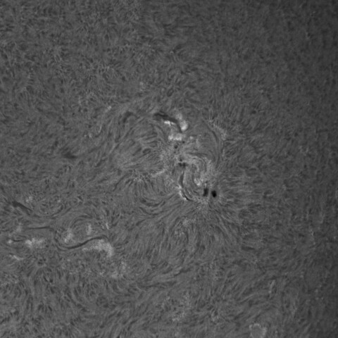 4/25昼の太陽(Hα・4064)