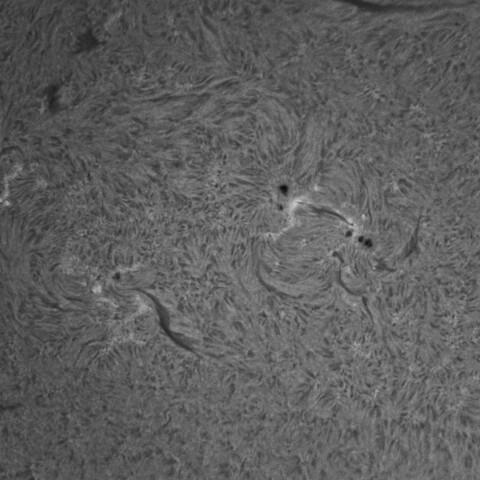 4/25昼の太陽(Hα・4068、4070)