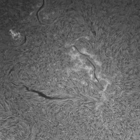 4/25昼の太陽(Hα・中央付近のフィラメントとプラージュの様子)