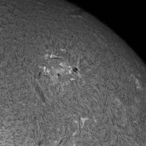 4/26朝の太陽(Hα・4064付近)