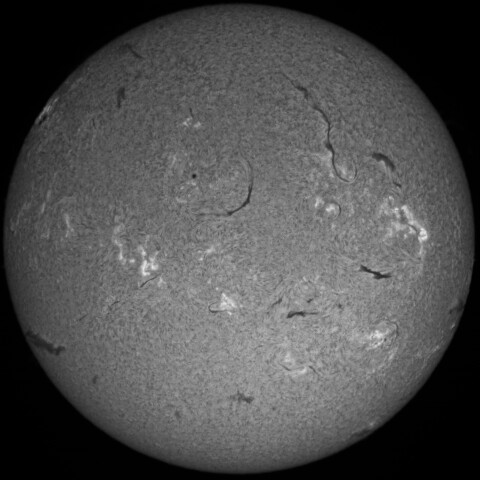 4/29昼の太陽(Hα中心付近)