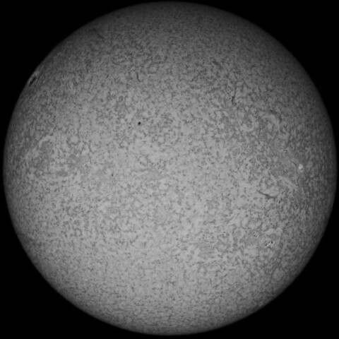 4/29昼の太陽(Hα少し長波長側)