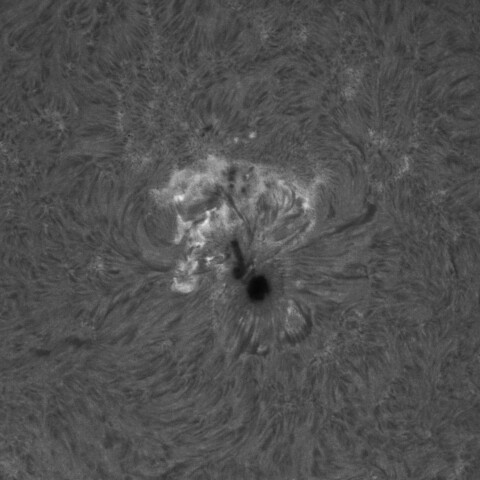 5/7昼の太陽(4079)