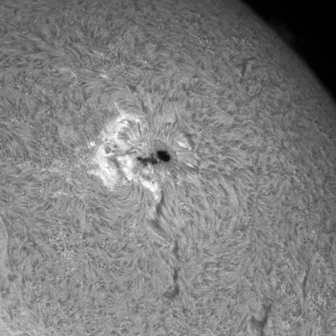 5/8朝の太陽(4079)