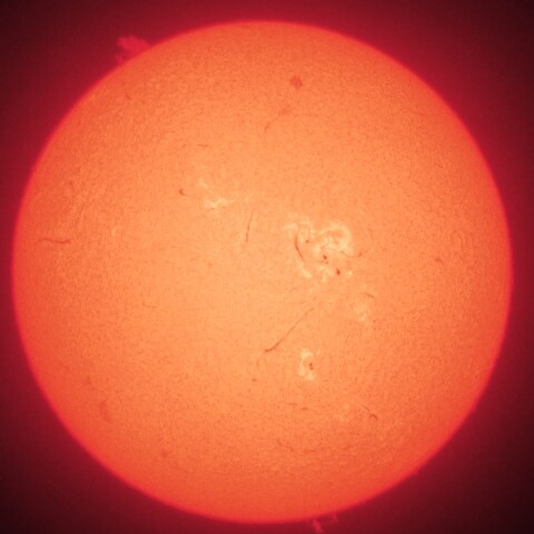 6/2朝の太陽(Hα中心付近・カラーにて)