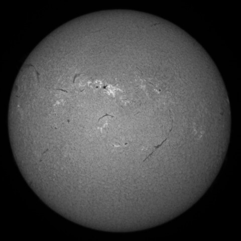 6/17朝の太陽(Hα中心付近)