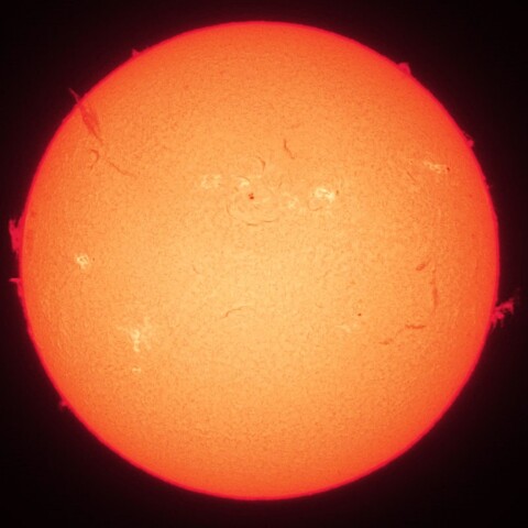 7/15昼の太陽(Hα中心付近・カラーにて)