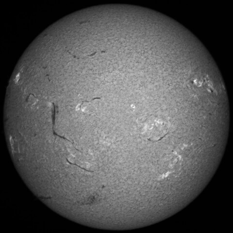 7/20朝の太陽(Hα中心付近)