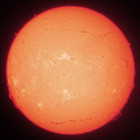 7/25朝の太陽(Hα中心付近・PST-DSにて)