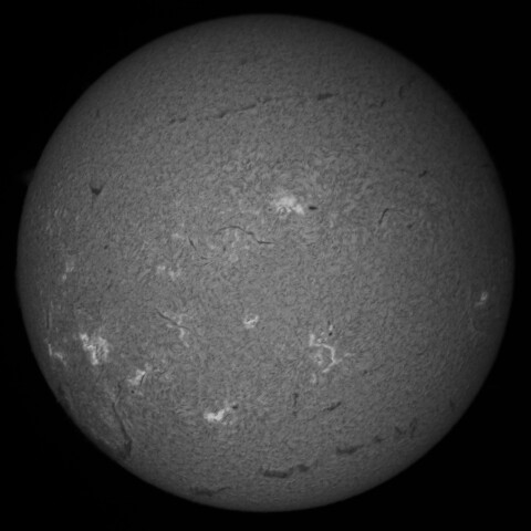 7/26朝の太陽(Hα中心付近)