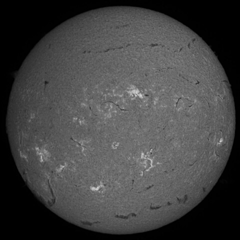 7/26朝の太陽(Hα中心付近・SM40DSにて)