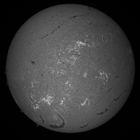 7/27朝の太陽(Hα中心付近・SM40DSにて)