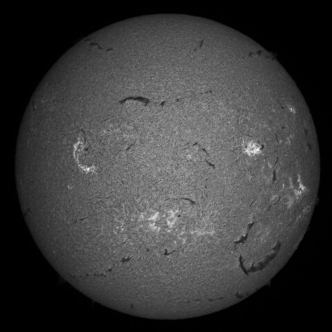 8/3朝の太陽(Hα中心付近)