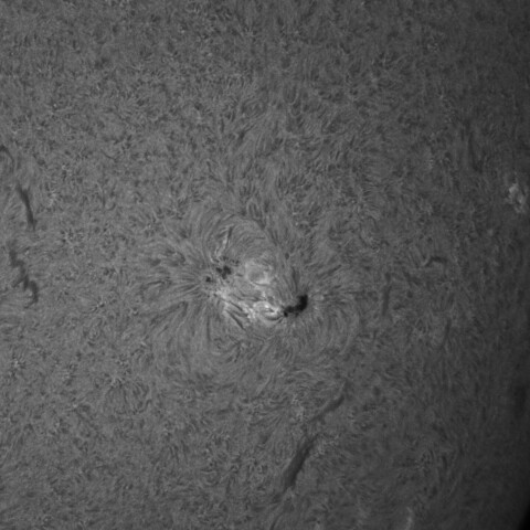 8/3朝の太陽(4167)