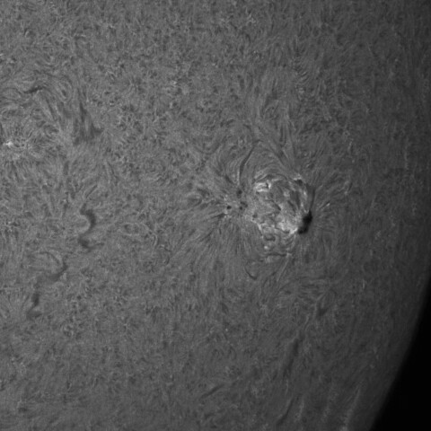 8/4朝の太陽(4167)