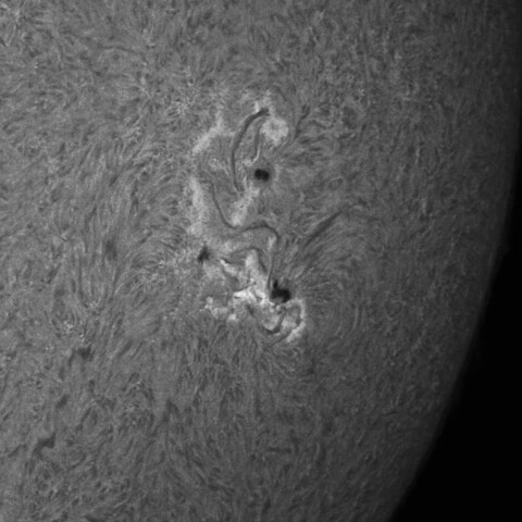 8/9朝の太陽(4165、4168)