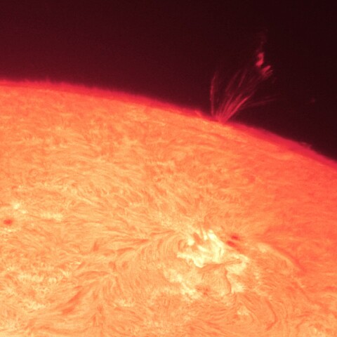 8/15朝の太陽(4169、4172とポストフレアループ )