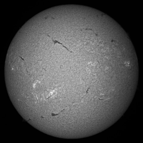 8/15朝の太陽(Hα中心付近 )