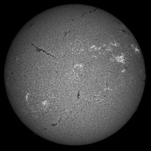 8/14朝の太陽(Hα中心付近 )