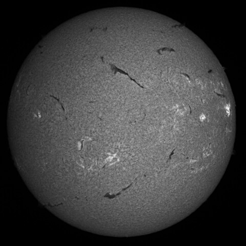 8/16朝の太陽(Hα中心付近 )