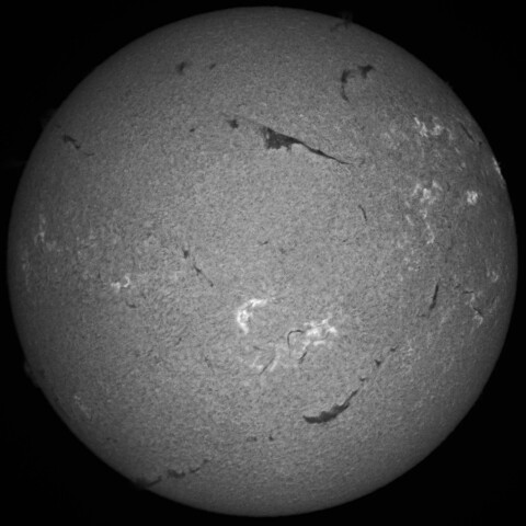 8/17朝の太陽(Hα中心付近 )