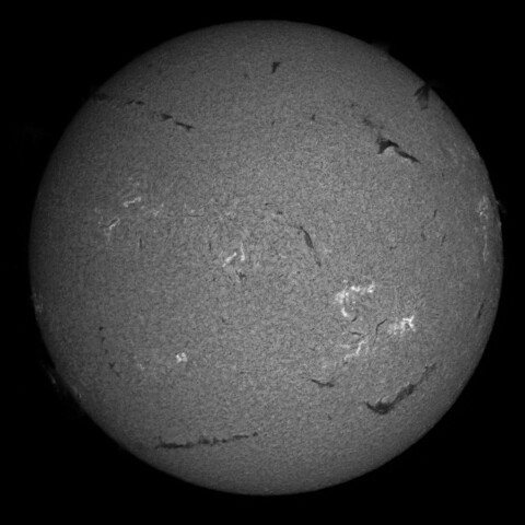 8/19朝の太陽(Hα中心付近 )