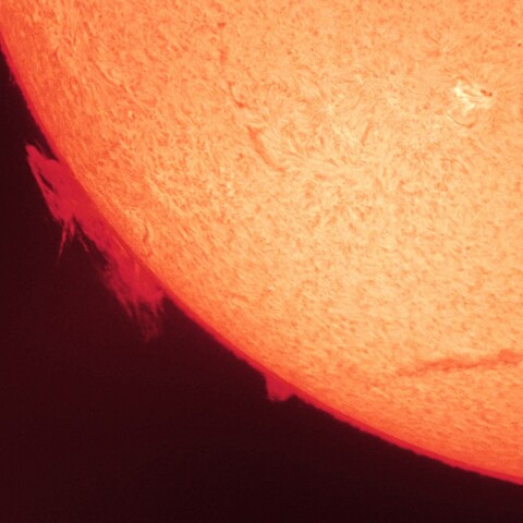 8/19昼の太陽(プロミネンス１ )