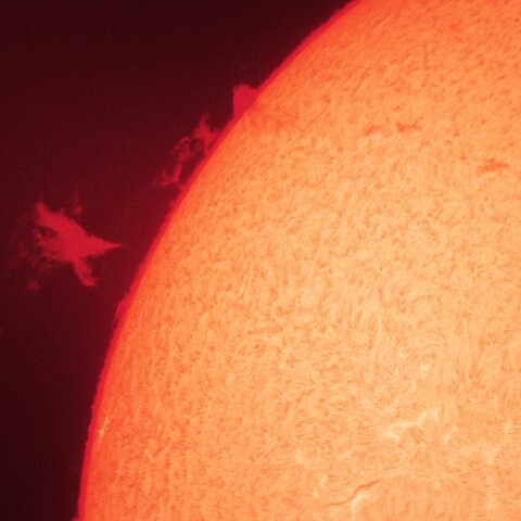 8/19昼の太陽(プロミネンス２ )