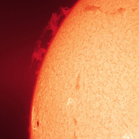 8/21の太陽(プロミネンス)