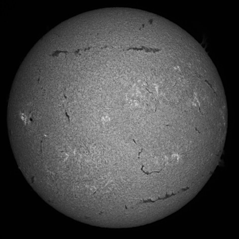 8/23の太陽(Hα中心付近)