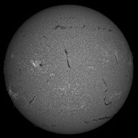 8/25の太陽(Hα中心付近)