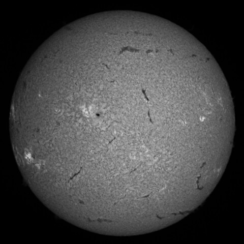 8/26朝の太陽(Hα中心付近)