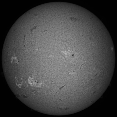 8/28朝の太陽(Hα中心付近)