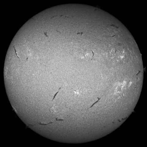 10/9昼の太陽(Hα中心付近)