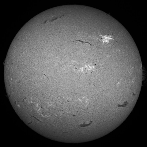 10/15昼の太陽(Hα中心付近)