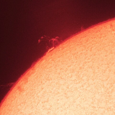 11/01朝の太陽(プロミネンス)