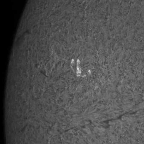 11/01朝の太陽(ちょっとしたフレア？)