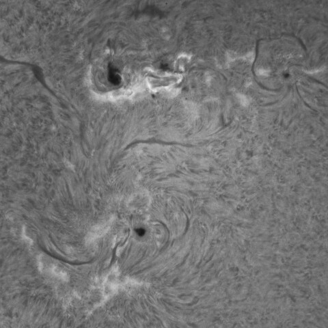 11/8朝の太陽(4272、4274、4275付近)