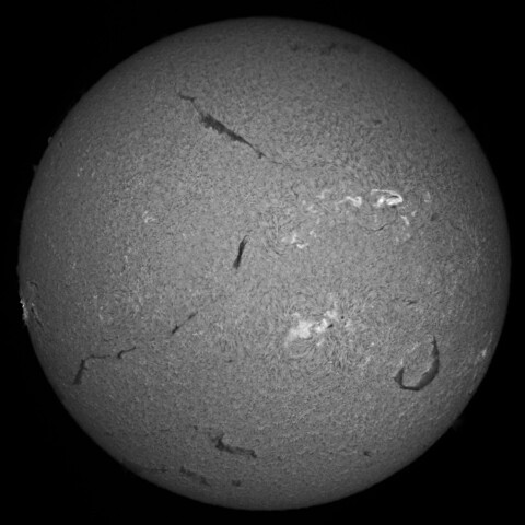 11/29朝の太陽(Hα中心付近)