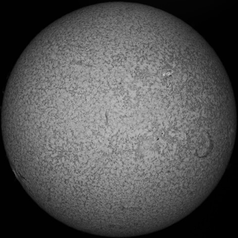 11/29朝の太陽(Hα少し長波長側)