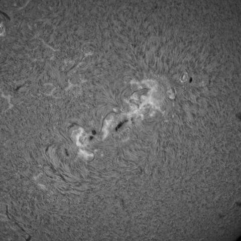 12/6朝の太陽(黒点群付近)