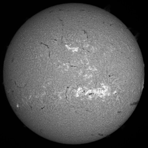 12/7昼の太陽(Hα中心付近)