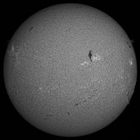 12/19昼の太陽(Hα中心付近)