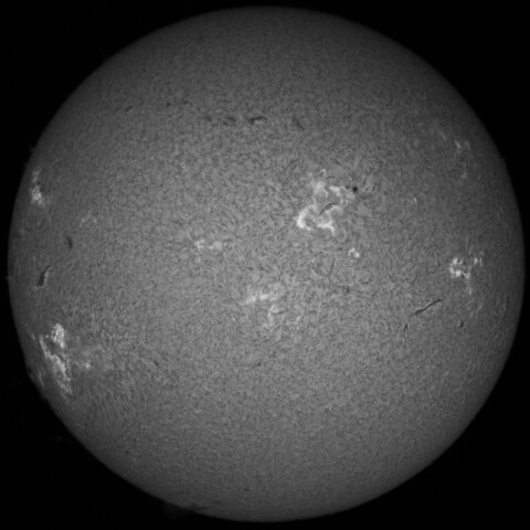 12/28朝の太陽(Hα中心付近)
