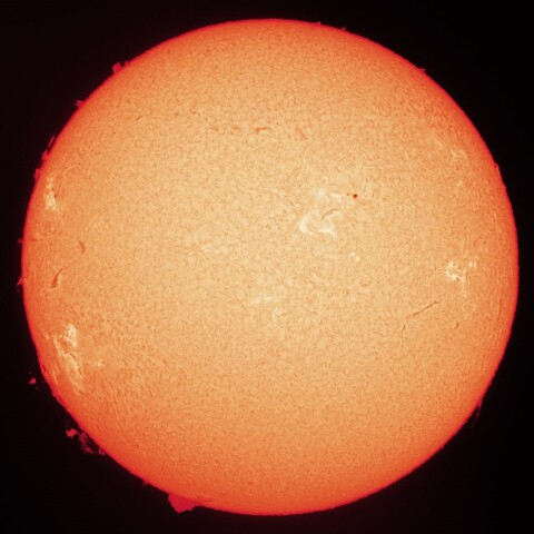 12/28朝の太陽(Hα中心付近・カラーにて)