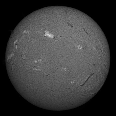 2/3昼の太陽(Hα中心付近)