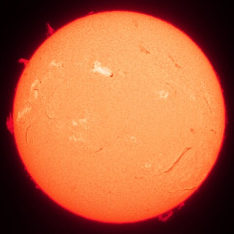 2/3昼の太陽(Hα中心付近・カラーにて)